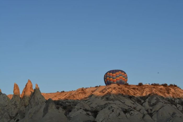 Like Dioscoros the Apiones