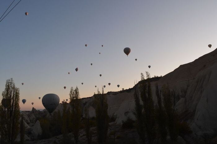 A slave named Proiectus