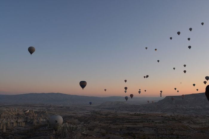 LIVING IN THE SOCIAL WORLD