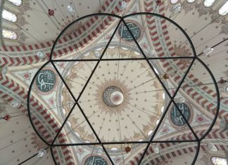 Houses in Harmony with Nature