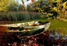 Leaving Buda and Traveling by Land