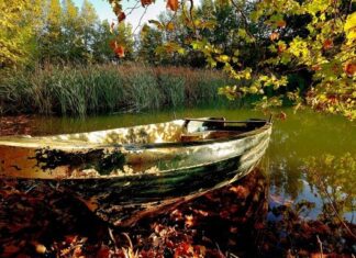 Leaving Buda and Traveling by Land